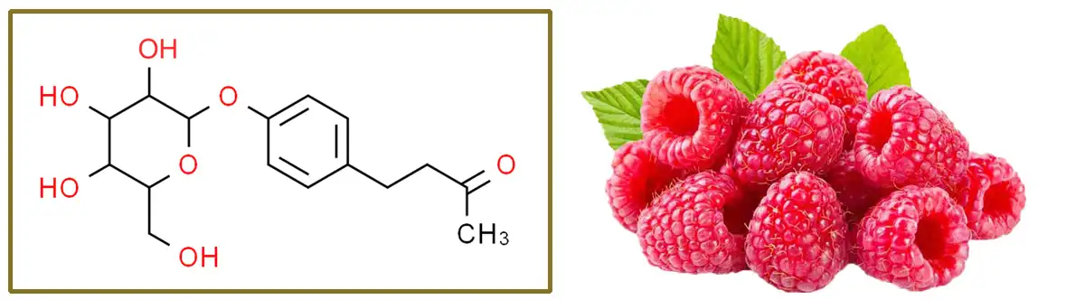 Raspberry Ketone Glucoside 5.jpg